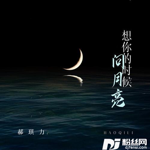 想你的时候问月亮DJ九零版的专辑