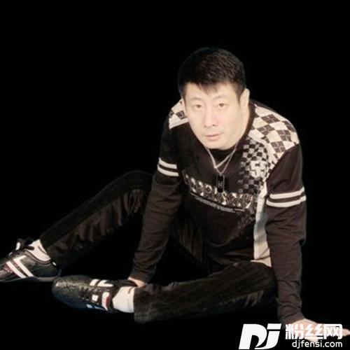 dj我不是那只披着羊皮的狼版的专辑