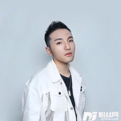 叶问宗师-完整版的专辑