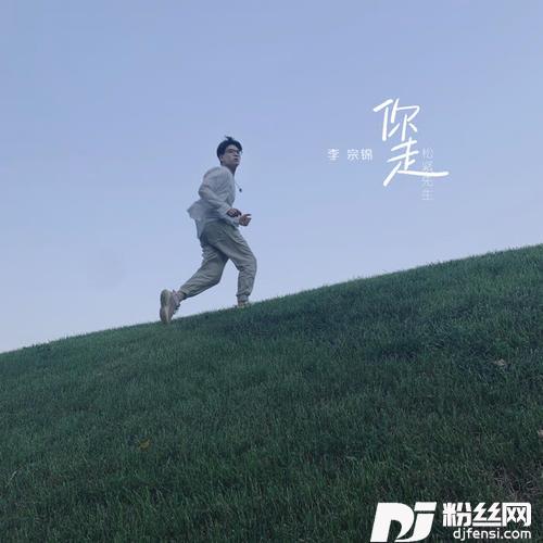 你走的专辑