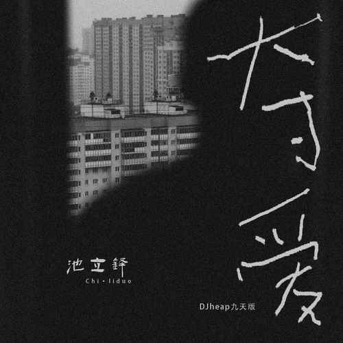 夺爱DJheap九天版