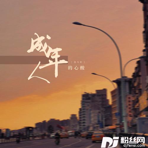 成年人的心酸