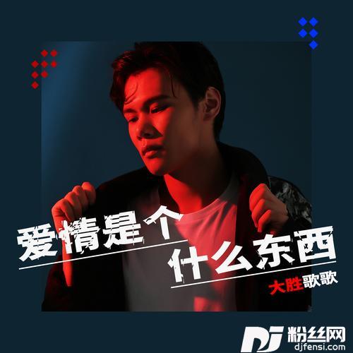 爱情是个什么东西