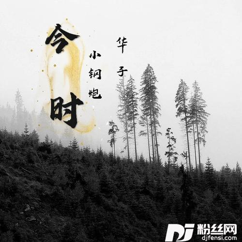 今时（两个大叔）的专辑