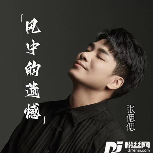 风中的遗憾DJR7版