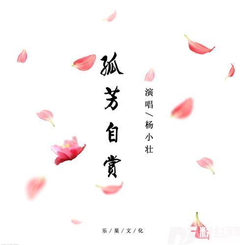 孤芳自赏DJ阿超咚鼓版的专辑