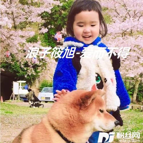 请允许我