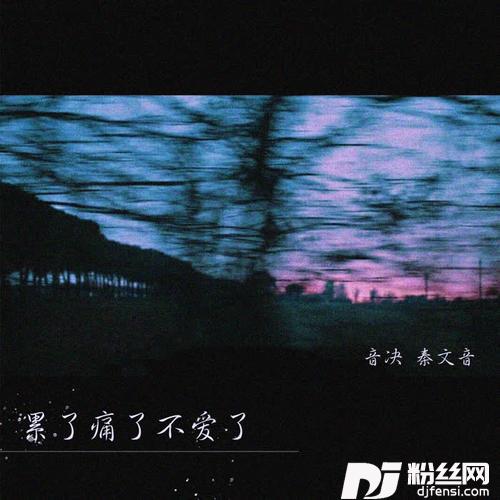 累了痛了不爱了DJ版的专辑
