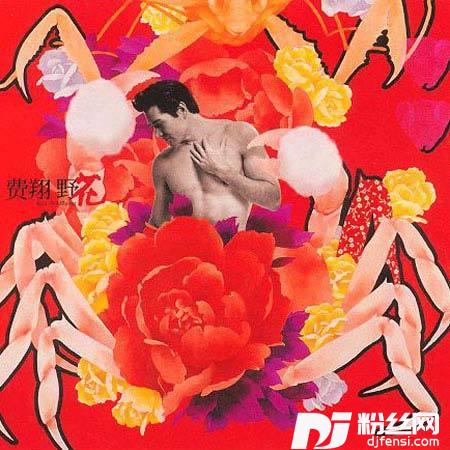 橄榄树