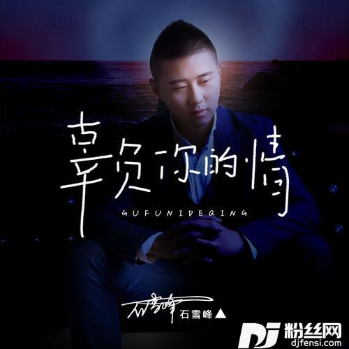 辜负你的情（DJ版）