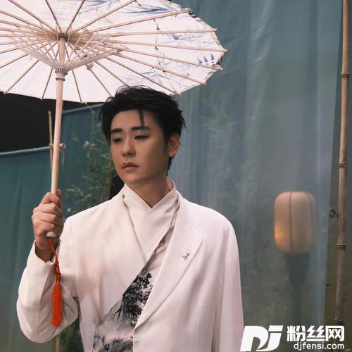 爱似流星