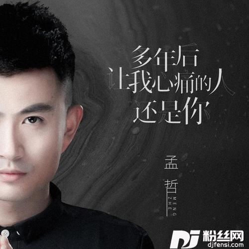多年后让我心痛的人还是你