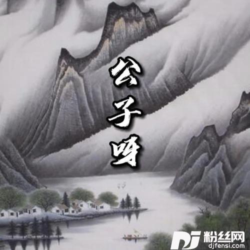 公子呀DJ版的专辑