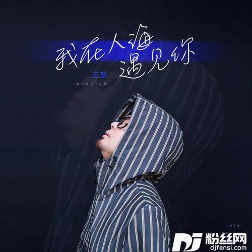 我在人海遇见你