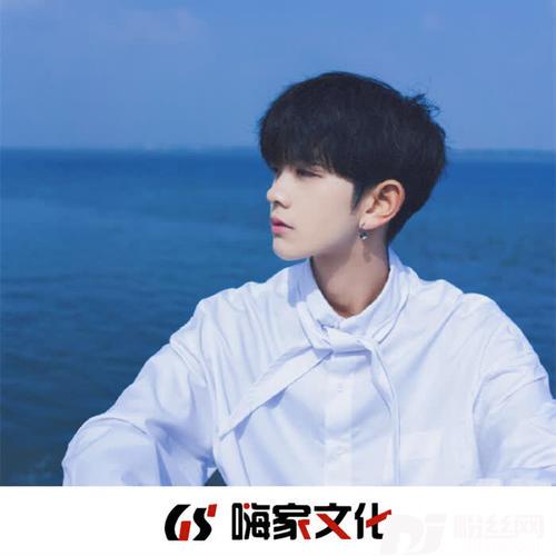 辞九门回忆抖音DJ咚鼓版的专辑