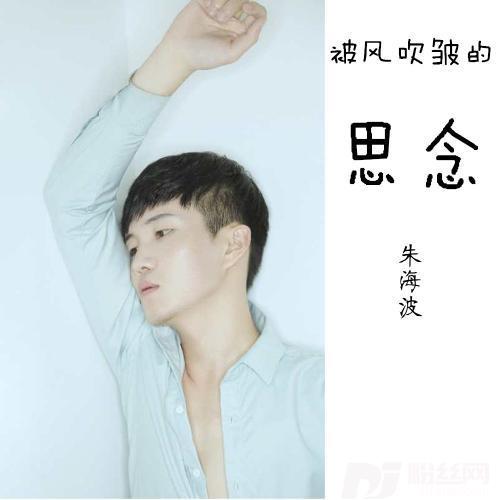 被风吹皱的思念DJ版