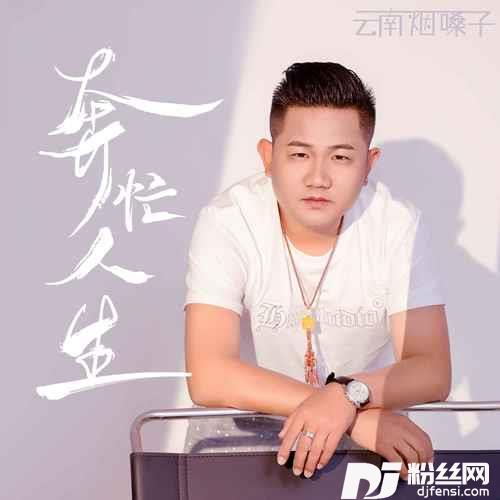 奔忙人生的专辑