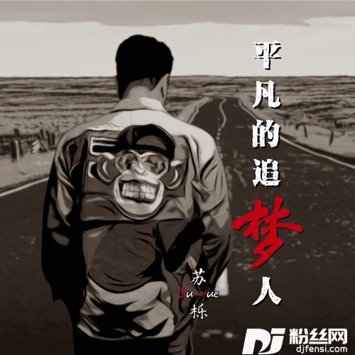平凡的追梦人DJ阿鹏版）