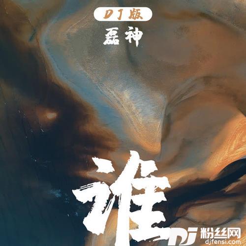 谁DJ版