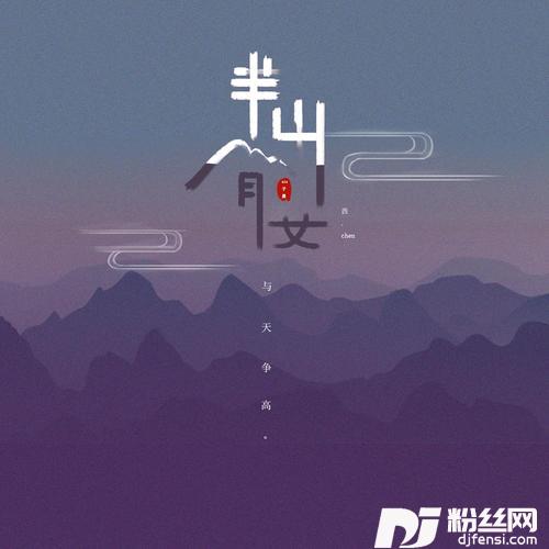 半山腰DJ沈念版的专辑