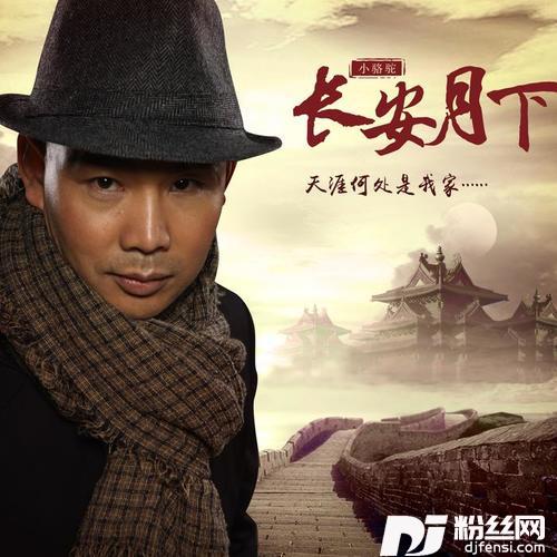 你到底有没有爱过我