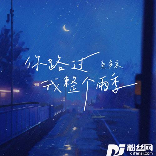 你路过我整个雨季