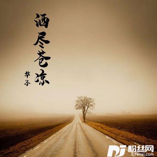 洒尽苍凉（两个大叔）