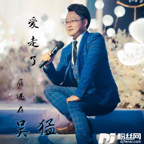 爱走了痛还在