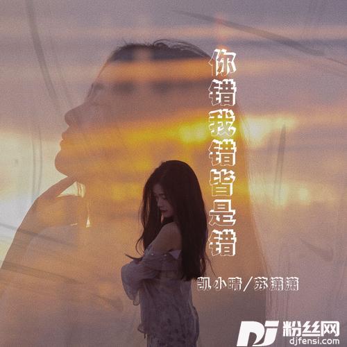 你错我错皆是错