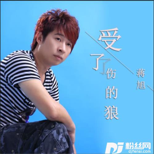 受了伤的狼DJ版