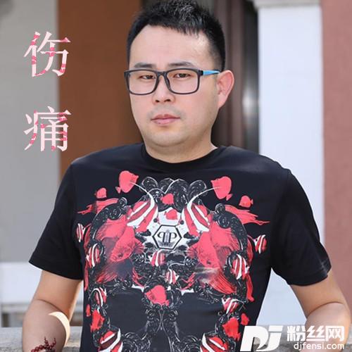 伤痛的专辑