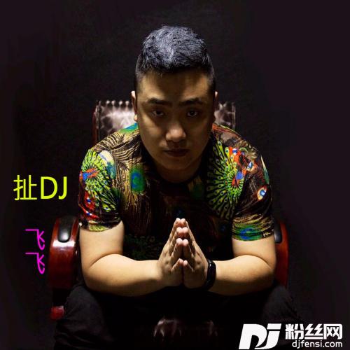 扯DJRemix的专辑