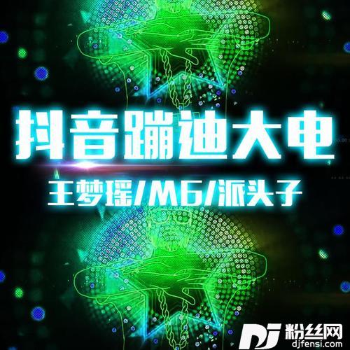 带派男唱DJ版