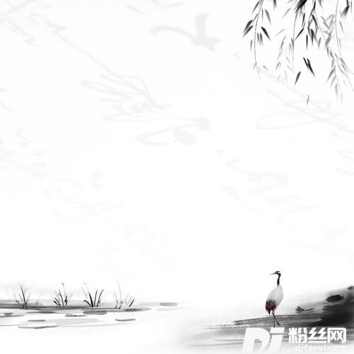 爱情不需要伪装