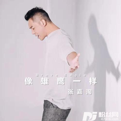 像雄鹰一样
