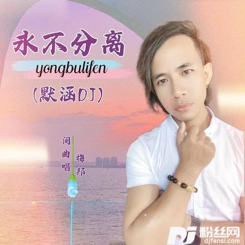 永不分离（DJ默涵版）