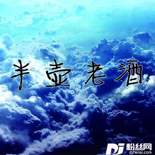 半壶老酒