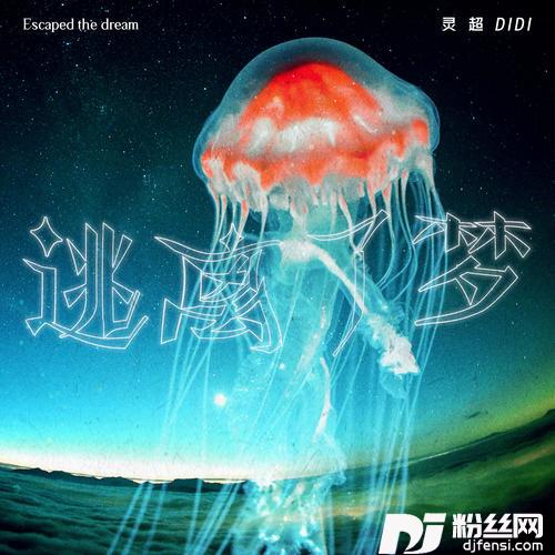 逃离了梦