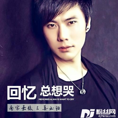 回忆总想哭Remix的专辑