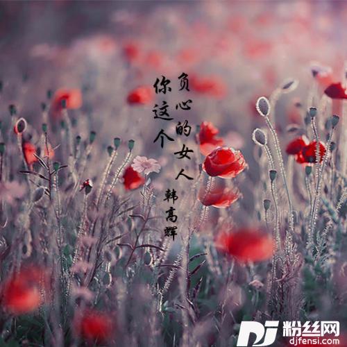 你这个负心的女人的专辑