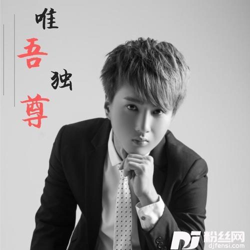 孤独的音乐人的专辑