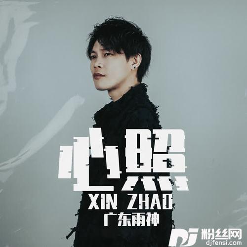 心照的专辑