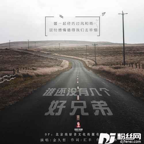 谁还没有几个好兄弟DJ默涵版