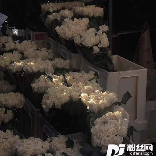 纵容cover:Capper/LEGGO