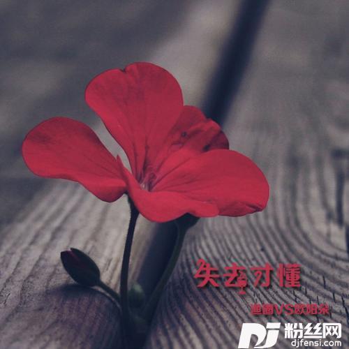 失去才懂的专辑