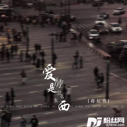 爱情是什么东西DJ名龙版