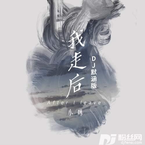 我走后2023DJ默涵版的专辑
