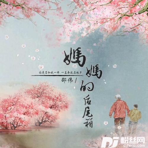 妈妈的后尾箱