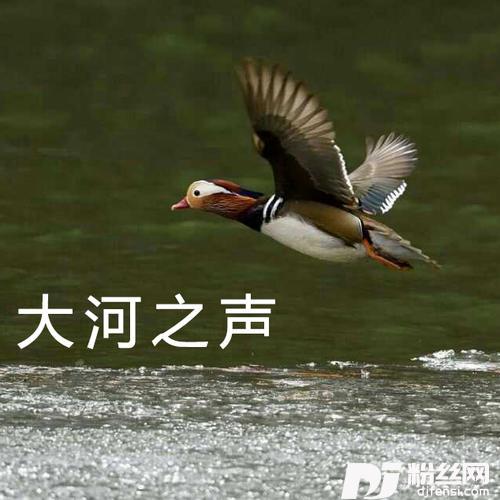 真情大世界的专辑