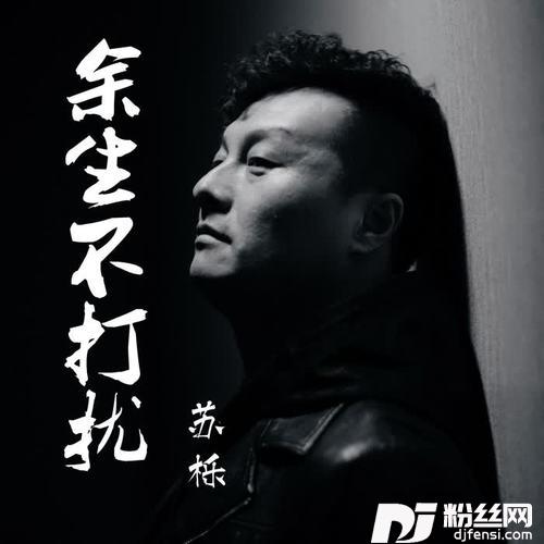 余生不打扰DJ车载版）